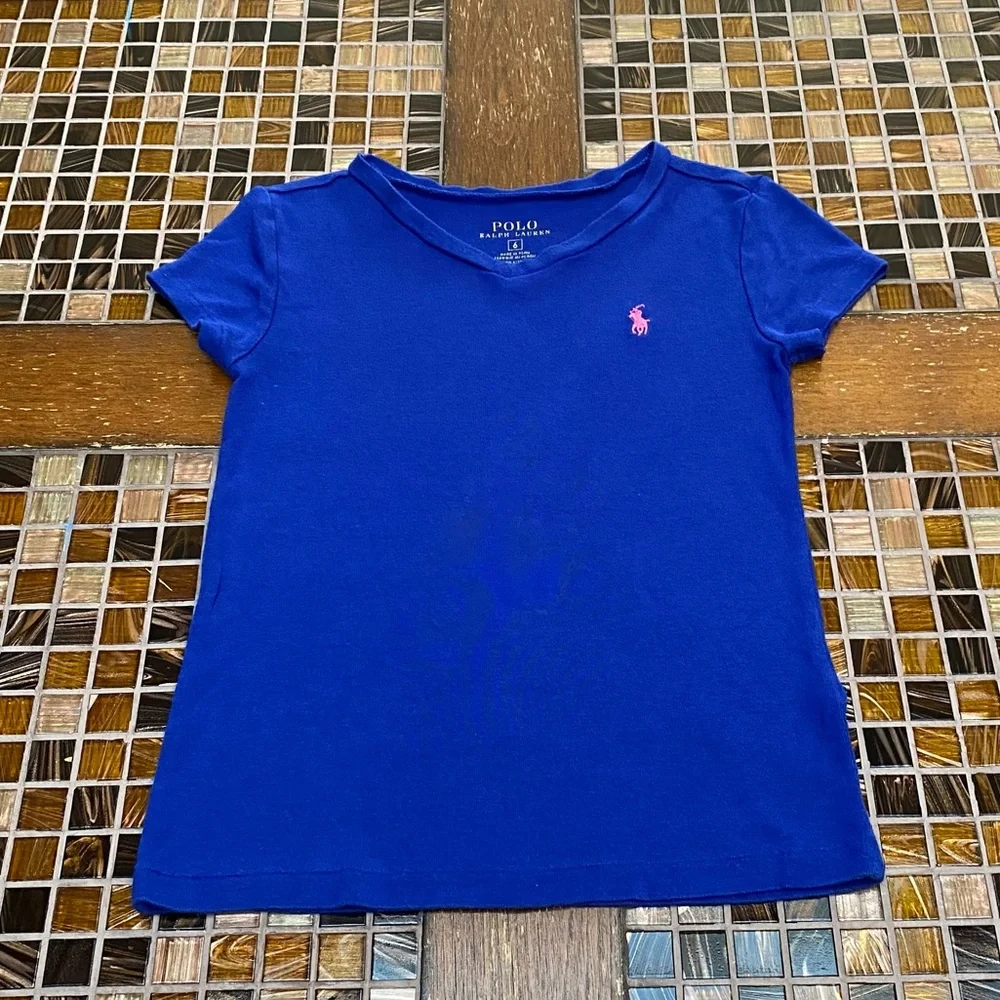 Ralph Lauren Blue Tee and Embroidered Dog Skirt Set